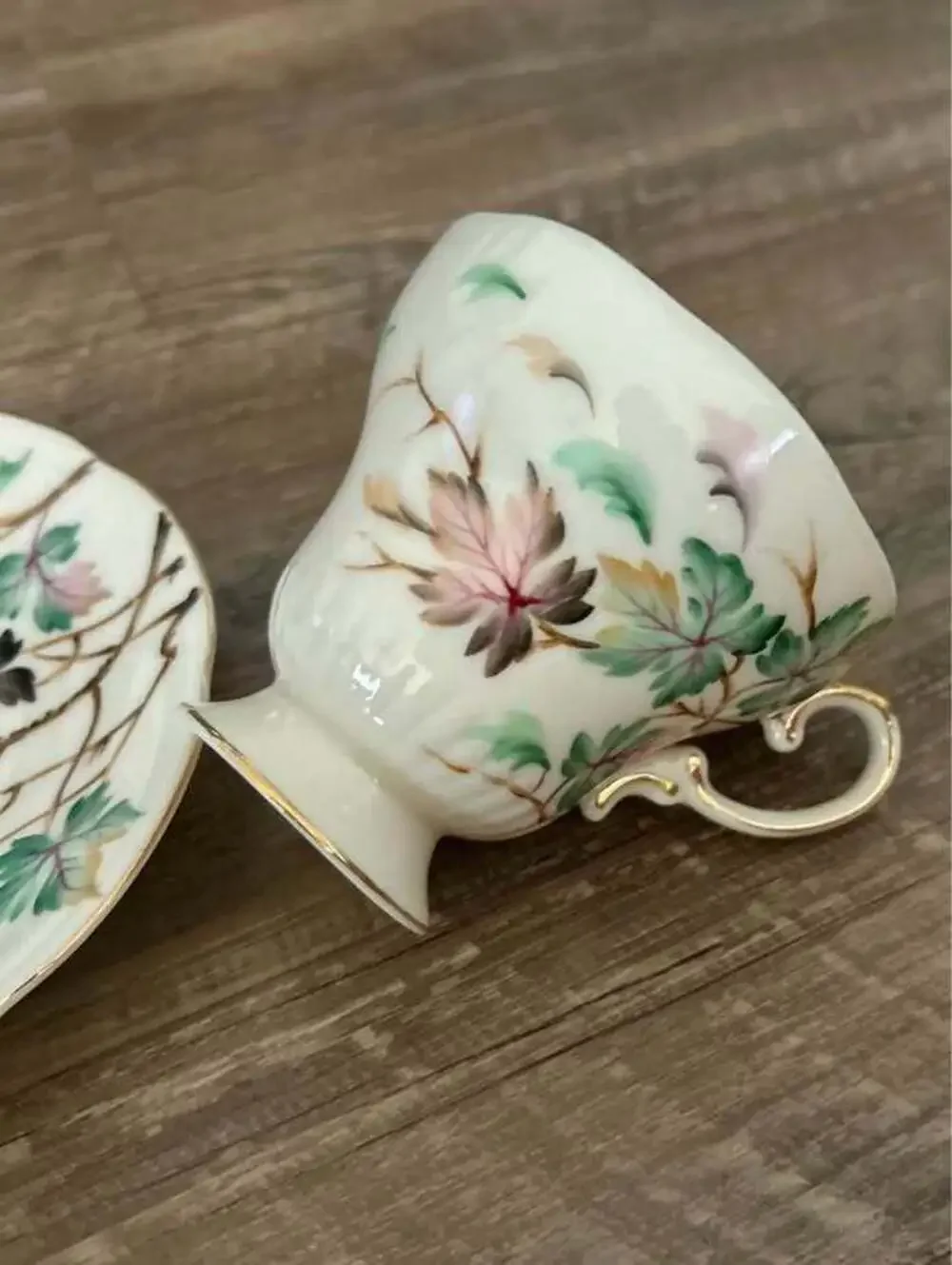 Vintage Hand-Painted Porcelain Teacup and Saucer Set